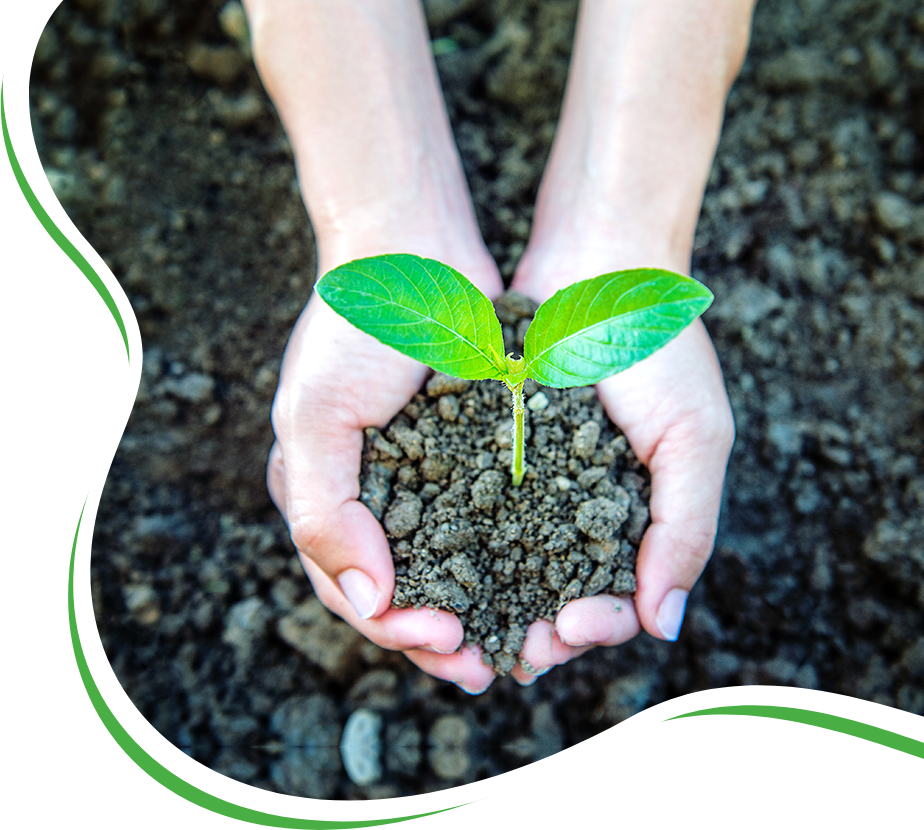 ecogreen