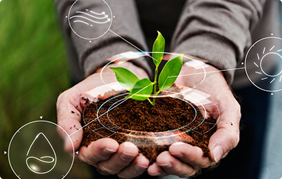 ecogreen