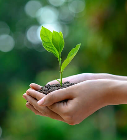 ecogreen