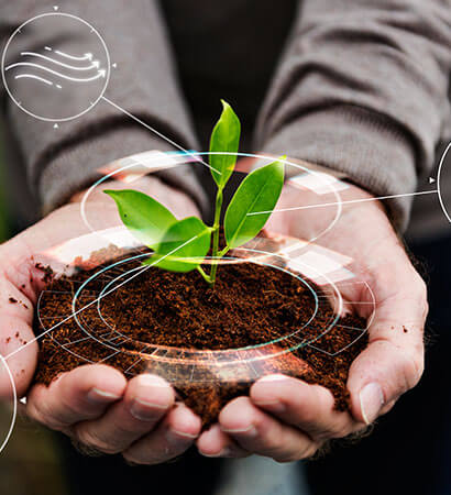 ecogreen