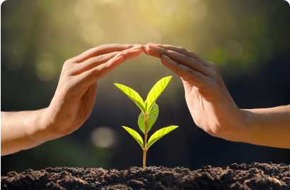 ecogreen