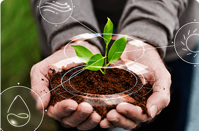 ecogreen