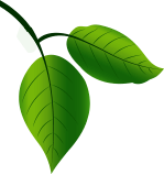 ecogreen