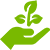 ecogreen