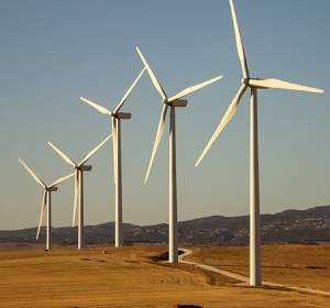 ecogreen
